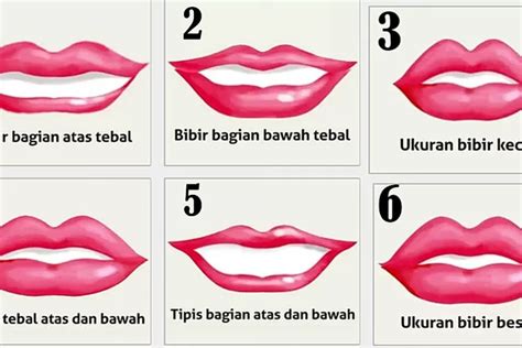 foto memek smp|9 Bentuk Vagina Dilihat dari Posisi Labia (Bibir Vagina)